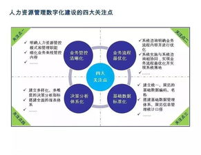 如何利用数字化营销方式提升红酒的网络影响力？