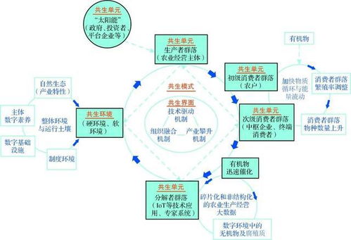 陆河论坛：从传统乡村到数字化社区的转型