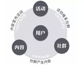 西安网站建设：如何打造一个高效的网络平台