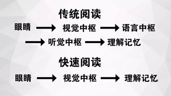 阅读经典，如何一口气读完？