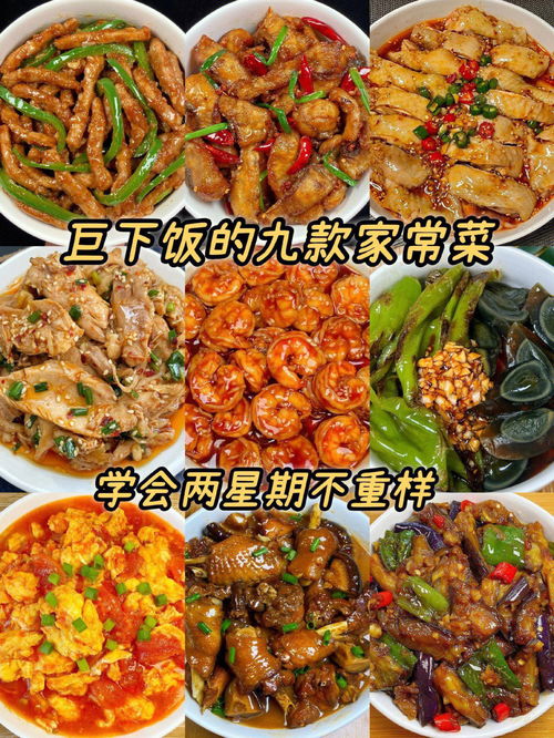 「美味易做：让你爱不释口的鸭肉新做法」