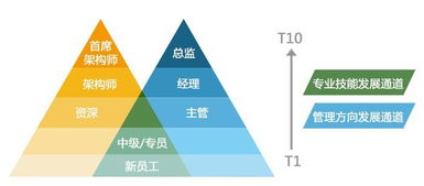 从职业规划到未来职业发展，让我们来看看职业发展的重要性