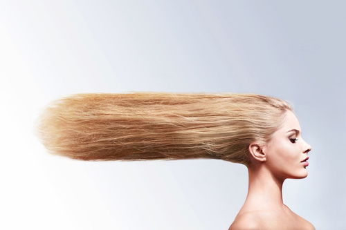 改善秀发质量的洗发水广告词：构筑健康之美,改善秀发质量的洗发水广告词：构筑健康之美,第1张