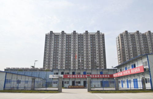 老糟房地产：重建忻州房市