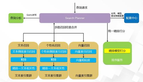 从入门到精通：提升搜索能力的秘籍