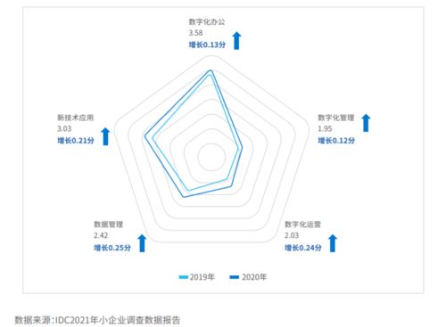 探寻神州数码，解读数字科技领先之路