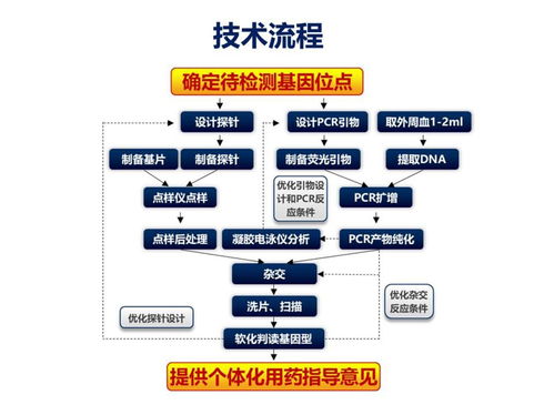 医药领域的推广策略：从传统到新兴趋势