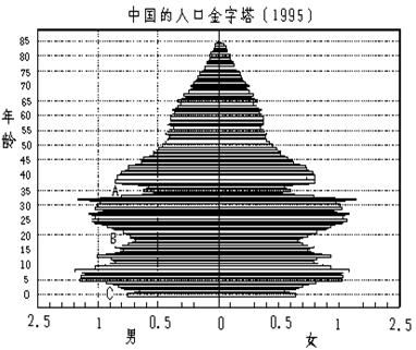 何时开始实行计划生育政策？