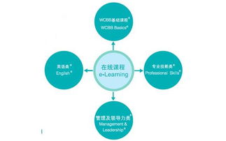 揭秘怀化网络公司的企业文化与发展之路