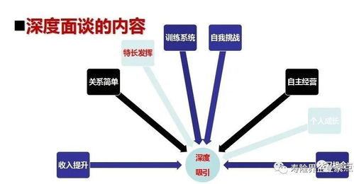 建立一个成功的网络平台需要多少资金投入？