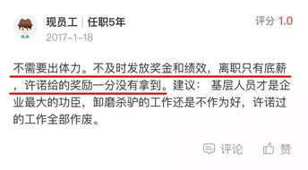 网站专业建设公司如何选择和比较