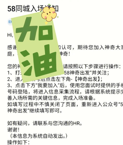 掌握这些技巧，金陵人才网上的职场生涯更加成功