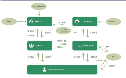 探秘泰安市人才信息网: 打造专业化服务平台