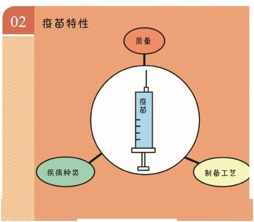 如何挑选适合自己的内衣？从尚衣监内衣品牌说起