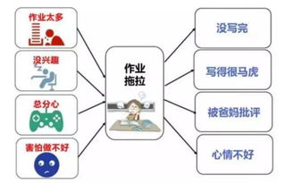 打造高效思维导图：从数据到PPT