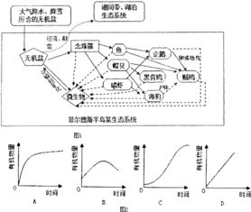 南极洲生态系统的珍贵之谜