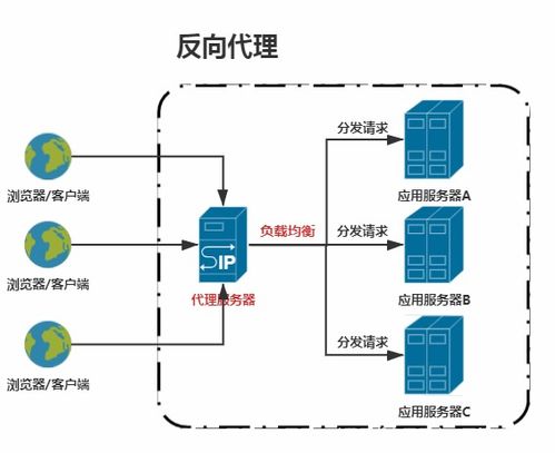 nginx反向代理失效，前端无法获取后端的数据，前后端连接不上