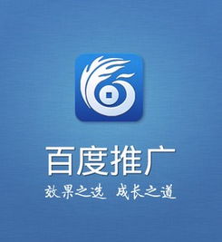 百度推广在河南地区的应用情况及效果分析