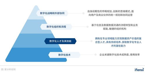 南京市场营销的数字化转型与发展