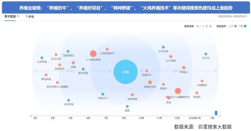 金融大数据：打造智能化搜索引擎的三大关键步骤