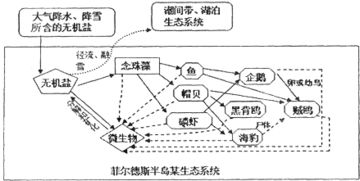 南极洲生态系统的珍贵之谜