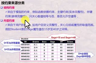 从九叶AI Labs的安全策略看数据保护和完整性