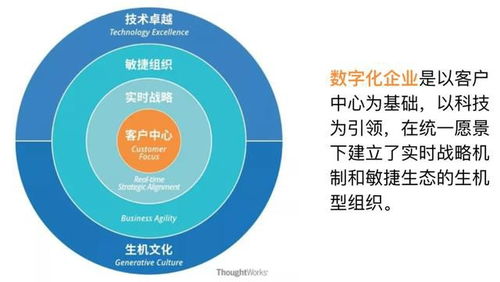 破仑网络：数字营销引领生态升级