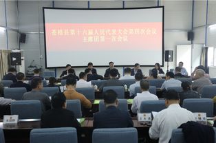 乐清县政府正式启动网站建设计划