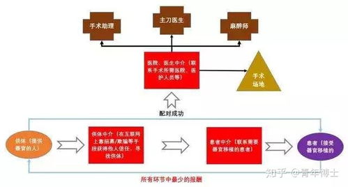 珠海斗门惊现神秘黑市，警方紧急介入调查