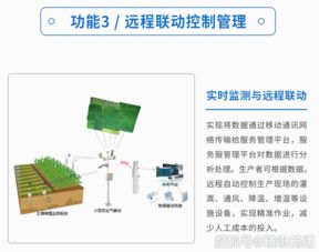 践行"互联网+"，河间网助力农村电商飞翔