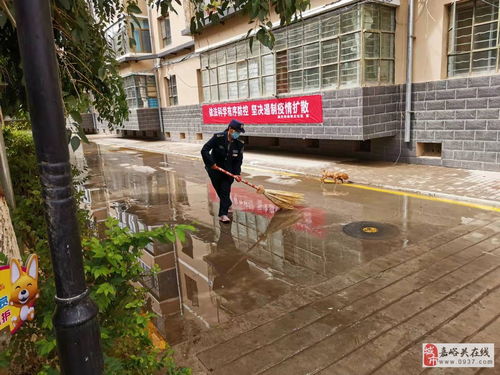 石家庄恶劣天气下的城市应对