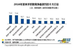 乐清市人才政策全解析