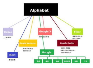 谷歌：颠覆式创新让其成为全球最聪明的公司之一。