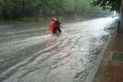 被雨淋湿的坚强,被雨淋湿的坚强,第3张