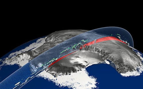 南极洲生态系统的珍贵之谜