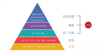 探秘芜湖市公共关系网的构建及其作用