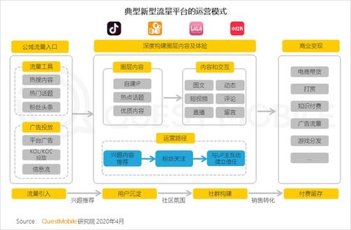 商丘seo市场如何提高排名？,商丘seo市场如何提高排名？,第1张