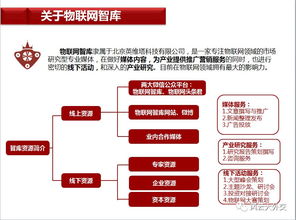 江西一家地方媒体的互联网化进程：探访泰和在线