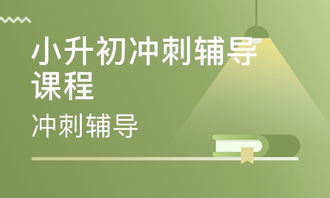 「金山词霸在互联网时代下的英语学习应用探究」