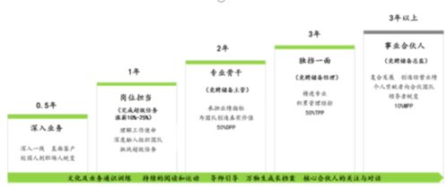 探寻长汀人事人才网的背后故事