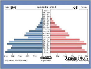 揭秘中国人口红利的真相