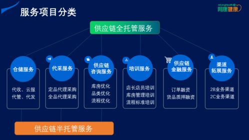 商丘市的网站建设：新时代需要的数字治理工具