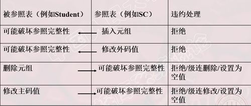 从九叶AI Labs的安全策略看数据保护和完整性