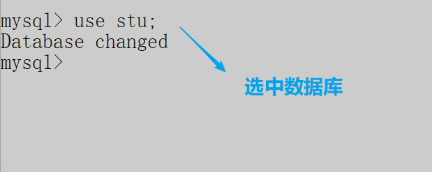 MySQL| 数据库的管理和操作【操作数据库和操作表】【附练习】,在这里插入图片描述,第3张