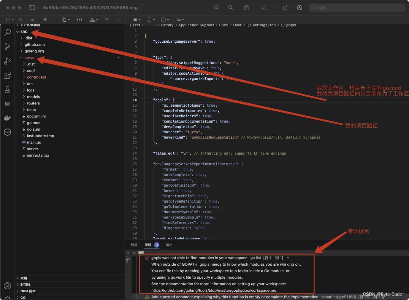 golang vscode环境报错gopls was not able to find modules in your workspace的解决方式,第1张