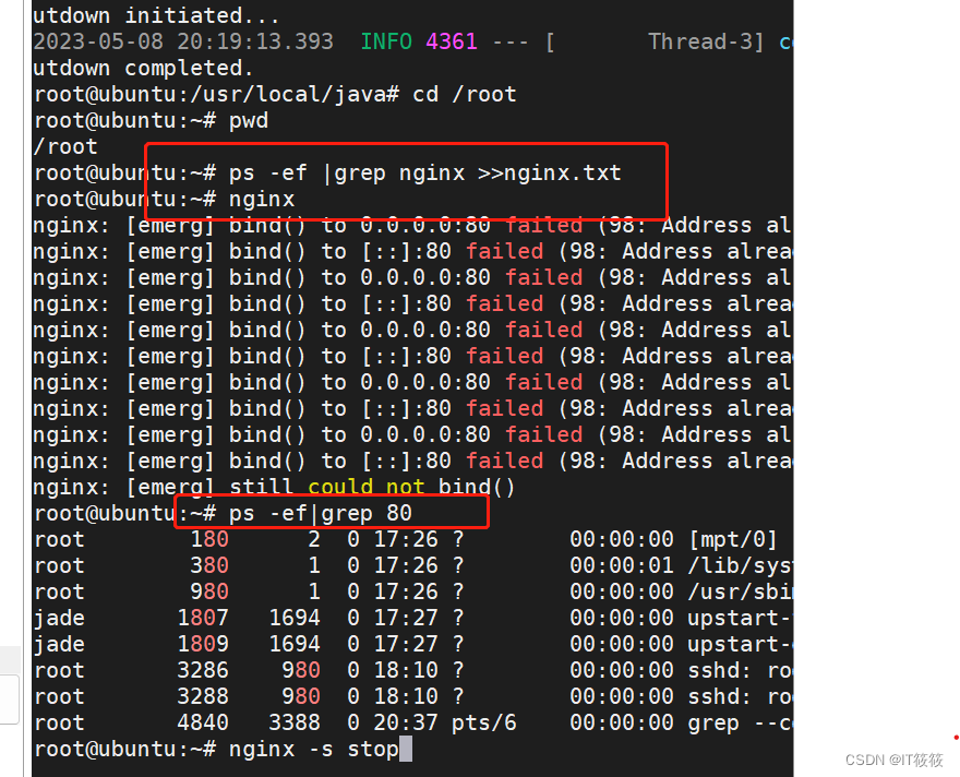 Linux部署Nginx详解,第7张