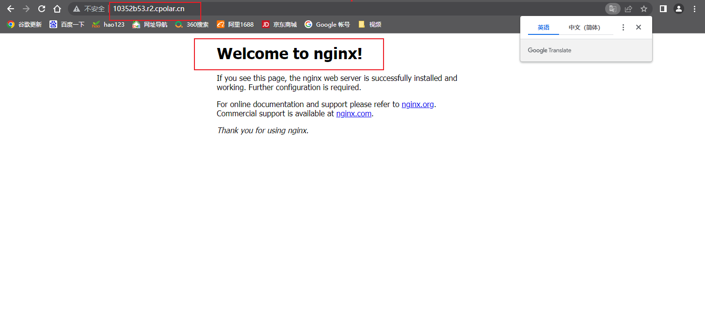 树莓派使用Nginx 搭建轻量级网站远程访问,image-20230607135233922,第6张