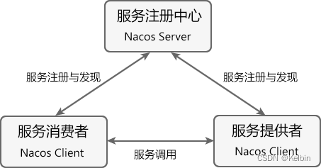 云原生微服务实战 Spring Cloud Alibaba 之 Nacos,在这里插入图片描述,第4张