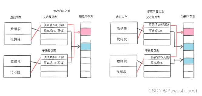 Fork() 函数：“父” 与 “子” 进程的交互（进程的创建）,在这里插入图片描述,第2张