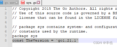 go环境配置7